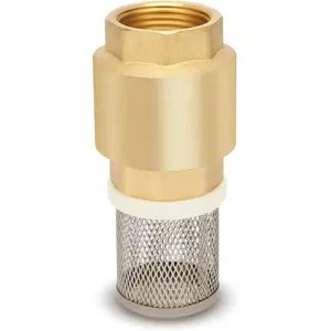Foot Valve with Filter 3/4" NPT, Brass Bottom Valve, Non Return Spring Vertical Check Valve to Filter Impurities, Prevent Backflow of Media for Water Pump, Irrigation, Industrial Piping System DN20