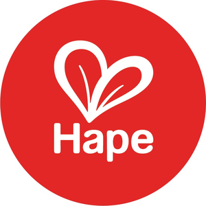Hape Toys