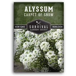 Carpet of Snow Alyssum Seeds