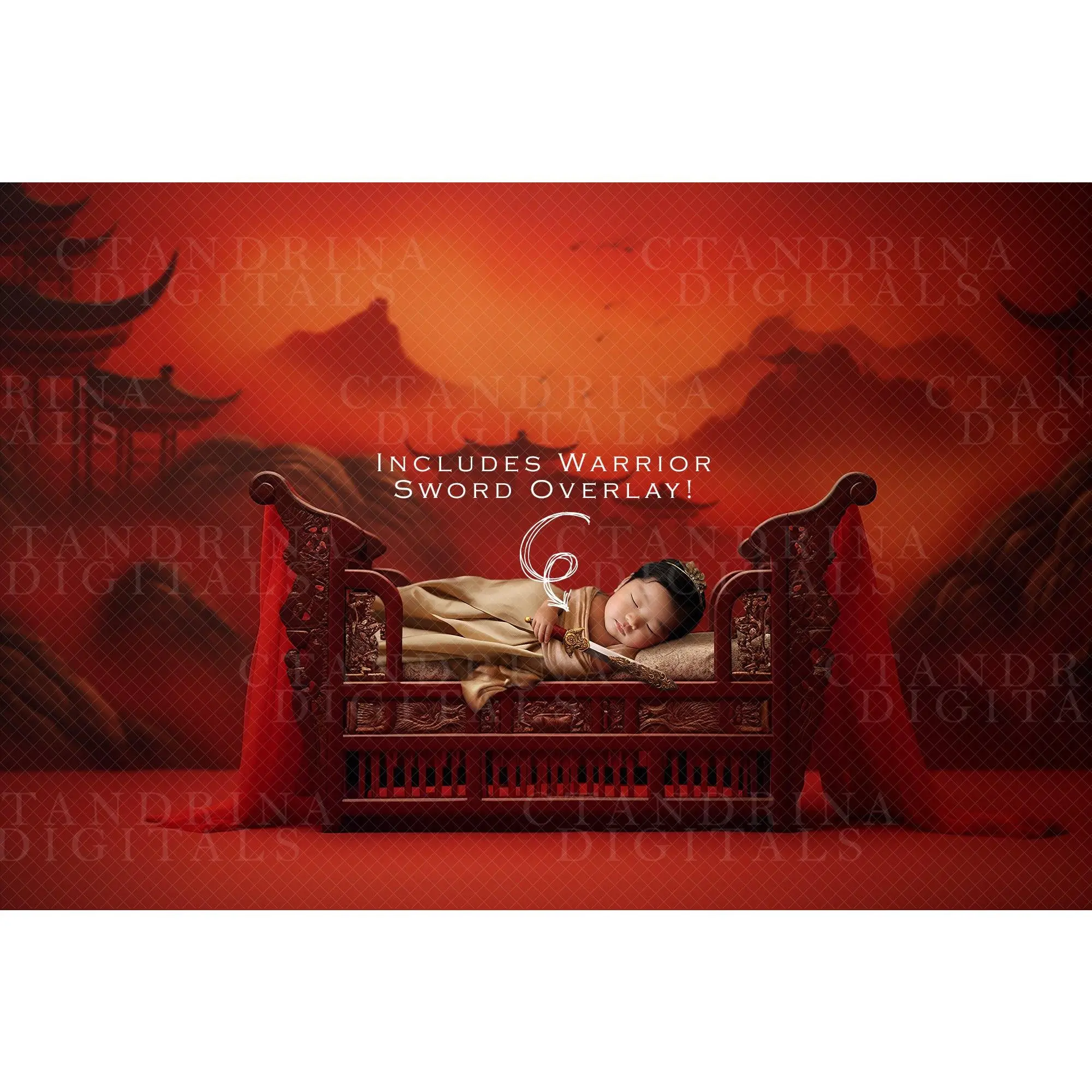 Chinese Princess Warrior Newborn Digital Backdrop