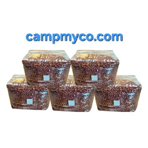 5 pack Sterilized 3lb Red Milo Grain Bag for Mushroom Spawn