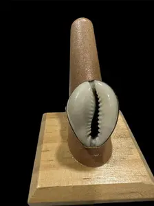 Single Cowry shell Ring