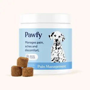 Pain Management - Natural support for dogs dealing with pain, stiffness, or discomfort.