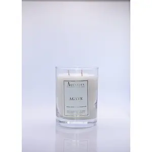 Handpoured Coconut-Apricot Scented Candle | Agave