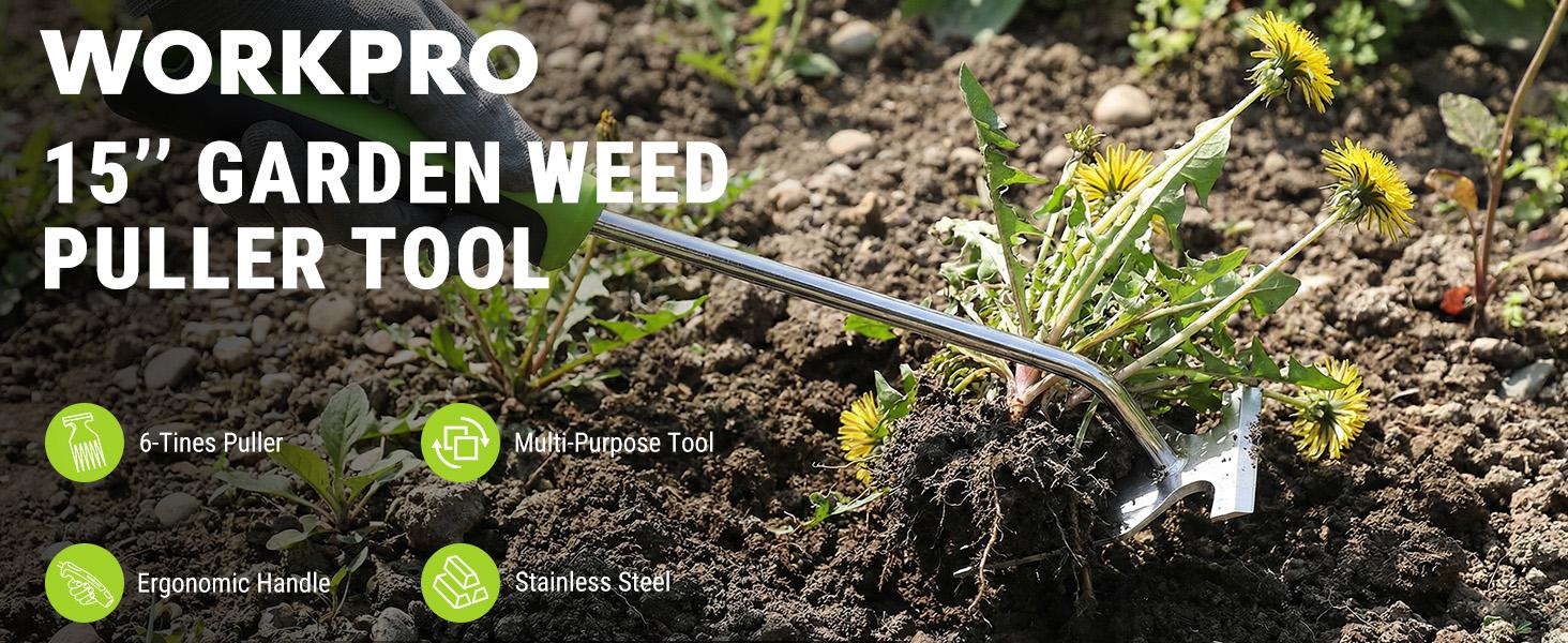 #backtoschool WORKPRO 15-Inch Weed Puller Tool, 6-Tine Heavy Duty Deep Root Remover for Dandelion, Stainless Steel Hand Weeder with Ergonomic Soft Grip for Lawn, Garden, and Yard