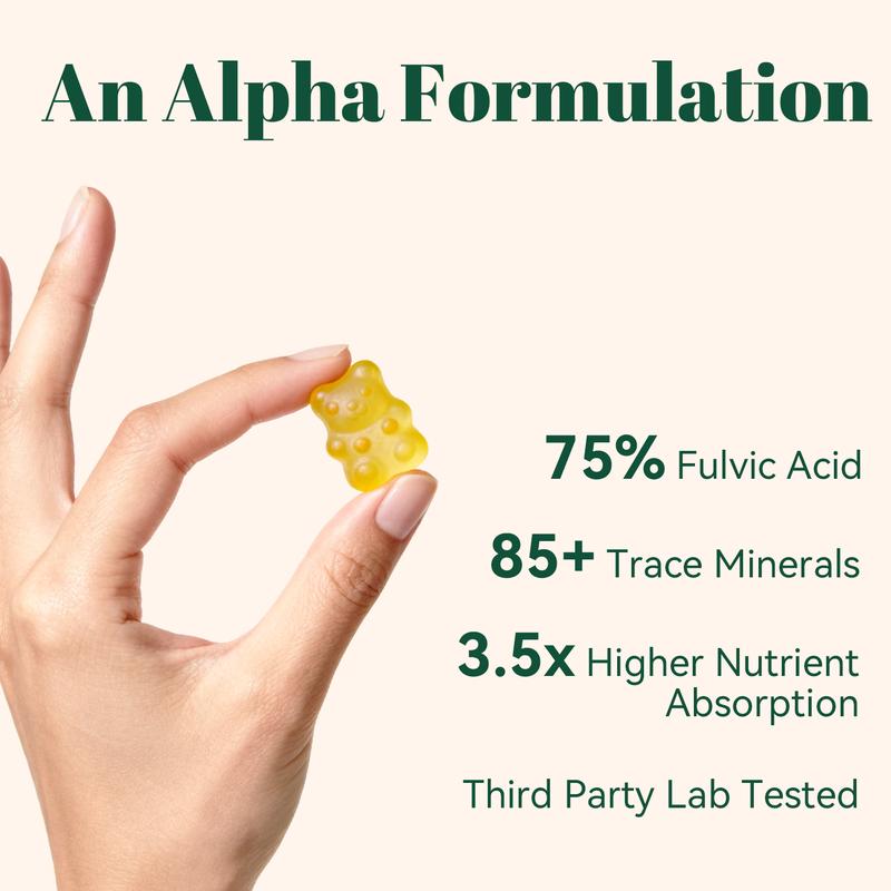 Alpha 10-in-1 Shilajit Gummies | Energy, Stamina & Focus | Ashwagandha, Tongkat Ali, Maca | Vegan| Zero Sugar