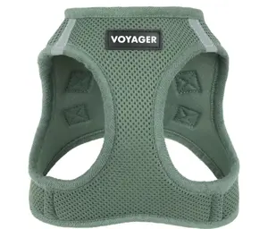 Best Pet Supplies Voyager Step-in Air Harness - All Weather Mesh, Reflective, No Pull Harness for Dogs, Cats - Secure with Hook & Loop Fastener, Buckle, Double D-Rings - Moss Green, S