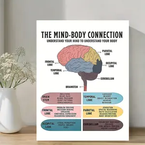 1 Piece Colorful Brain Anatomy Canvas Print with Wooden Frame - Detailed Educational Wall Art, Inspirational Home Decor, Ideal Gift for Valentine's Day and Easter, Home Decor Gift|Vintage Style Print|High-quality wall-mounted brain-themed gift