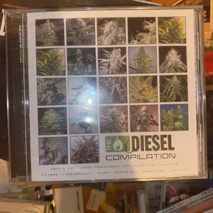 THE DIESEL COMPILATION CD  SEALED NEW  Tracklist  Kool G Rap Hood Legend	 Large Professor	I Came	4:233	 Kurupt / Roscoe	Fly High	3:344	 Kool Keith / H Bomb	Frontin	3:435	 Icarus ICADON / Redman	Gilla Hit	Pharcyde / Soul Unit	Mary Jane	 Buckshot	Side Talk