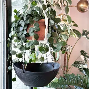 Hanging Catch Tray - Black + Black