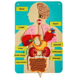 3D Human Organ Felt Wall Mounted Poster, 1 Set Anatomical Body Structure Diagrams, Human Body Structure Puzzles, Suitable for Classroom and Home Teaching Assistance, Teacher Storytelling Set, Classroom Supplies Charts