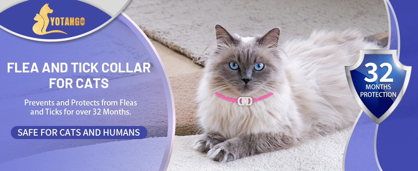 4 Pack Flea Collar for Cats, 32 Months Flea and Tick Prevention for Cat, Waterproof & Natural Cat Flea and Tick Treatment, Adjustable for Cats Kittens(Blue&Pink) #sohochic sohochic 4 Pack Flea Collar for Cats, 32 Months Flea and Tick Prevention for Cat, Waterproof & Natural Cat Flea and Tick Treatment, Adjustable for Cats Kittens(Blue&Pink) #sohochic sohochic