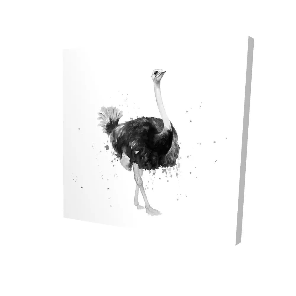 Begin Home Decor 2080-2424-AN458 24 x 24 in. Proud Ostrich Canvas - Exotic Bird Bedroom Wall Art Decor