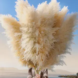 12 count 40'' Dried Pampas Grass Decor - Tall-Large Pampas Grass -  Beige - Boho  Decor