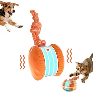 Interactive Dog Toys, 2026 New Electric Dog Toy, Automatic Rolling Dog Toy for Indoor Exercise, Durable Dogs Rope Toy for Chewing and Playing, Dogs Ball Toy for Small Dogs