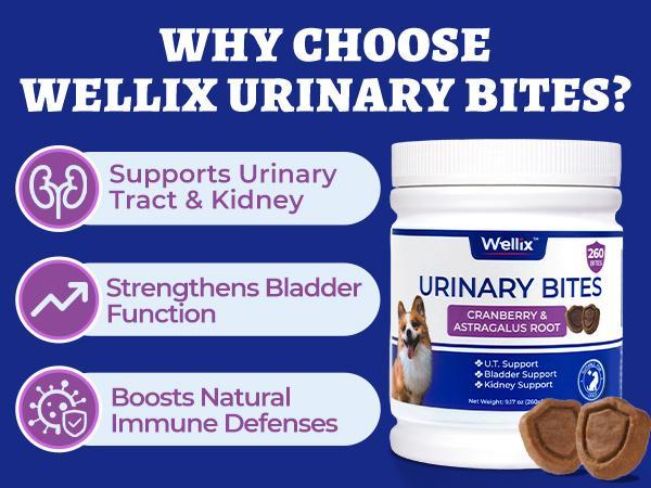 Wellix Dog Urinary Bites, 260-Count High Count Bulk Pack with Cranberry, D-Mannose & Fish Oil, Chicken Flavor