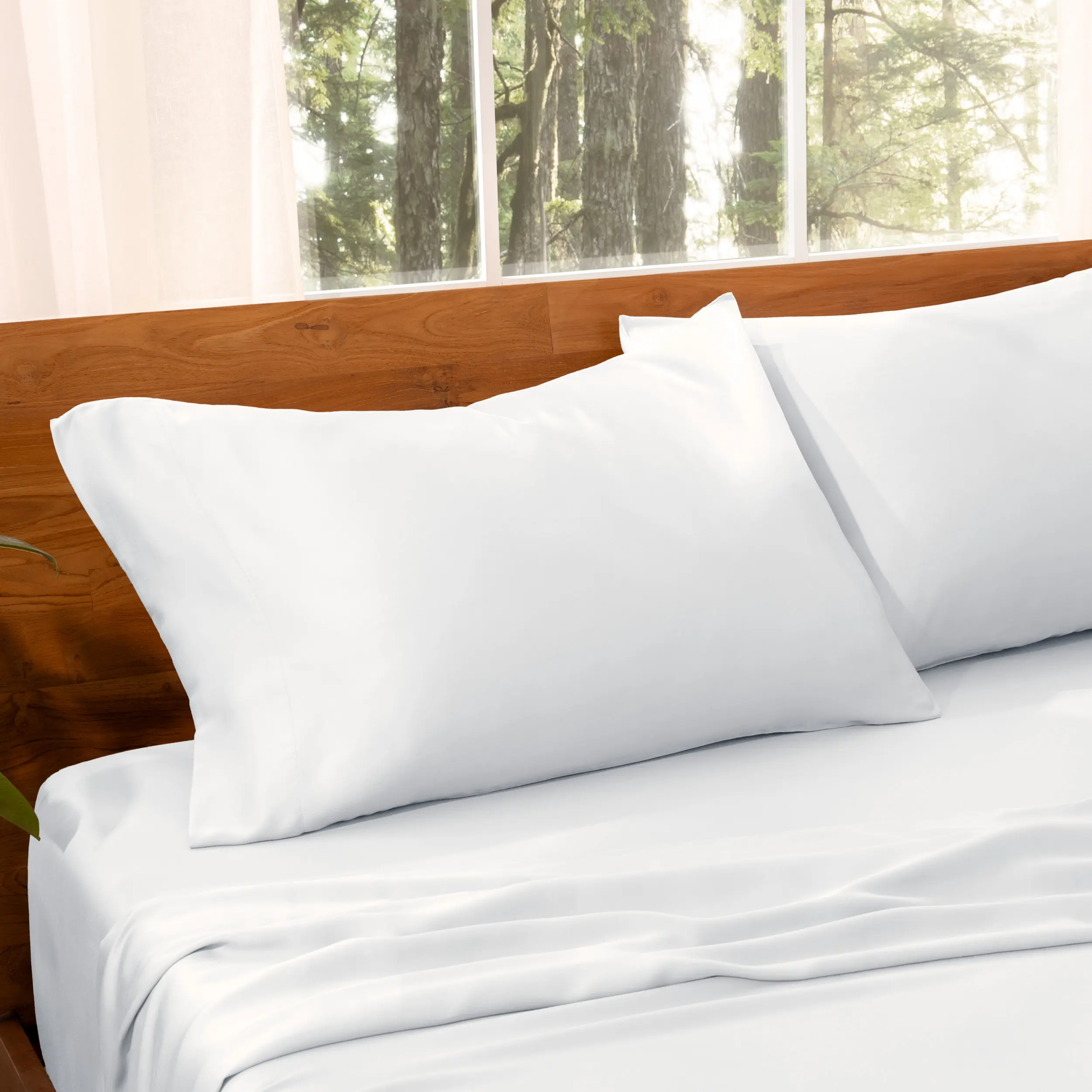 Bare Home TENCEL Lyocell Pillowcase Set - Luxurious Bedding with Botanical Base, Sateen Weave, Silky Soft Texture, Solid Look, Derived from Eucalyptus