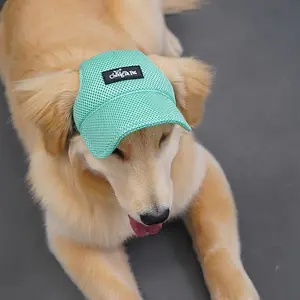 Breathable Mesh Dog Baseball Cap with Ear Holes, Fashion Light Hat for Golden Retrievers, Corgis, All Dog Breeds, Adjustable Chin Strap