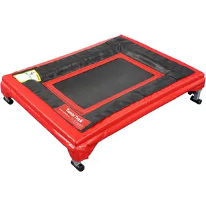 Tumbl Trak Mini Trak, Red, Small Mini Trampoline (MT-adj) Tumbl Trak Mini Trak, Red, Small Mini Trampoline (MT-adj)