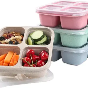 4 Piece Meal Container Set, Reusable Lunch Box with 4 Compartments, Ideal for Adults, Kids, Travel, Work, School