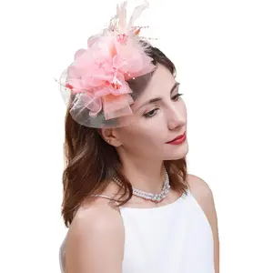 Cizoe Fascinators Hat for Women Tea Party Headband Kentucky Derby Wedding Flower Cocktail Mesh Feathers Hair Clip Cizoe