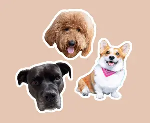 Custom pet stickers, Custom dog sticker, Custom cat sticker, water bottle sticker, Premium Quality