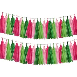 Pink and Green Tassel Garland,Paper Tissue Tassel Banner for Party Decorations,Pack of 20