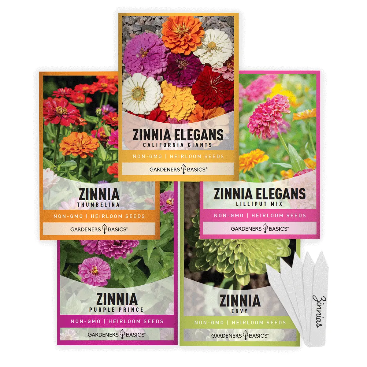 Zinnia Seeds for Outdoor Planting | 5 Variety Pack
