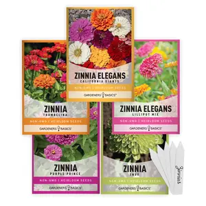 Zinnia Seeds for Outdoor Planting | 5 Variety Pack