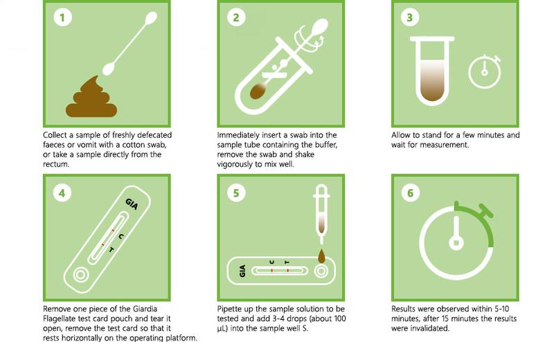 ISENVO 5pcs Canine & Feline GIARDIA Rapid Home Health Test Kit for Dogs & Cats 5 Pack Healthcare Feces Pet Health Quick Accurate Diagnosis Comprehensive Breed Health Test