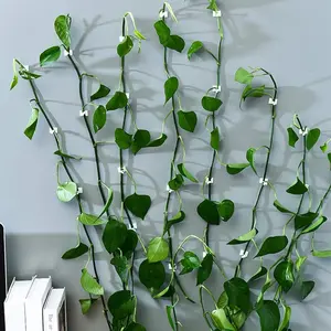 50pcs Heavy-Duty Self-Adhesive Plant Climbing Wall Clips - No Drill Needed, Damage-Free Removal, Invisible Sticky Hooks for Ivy, Wall Plant Holder
