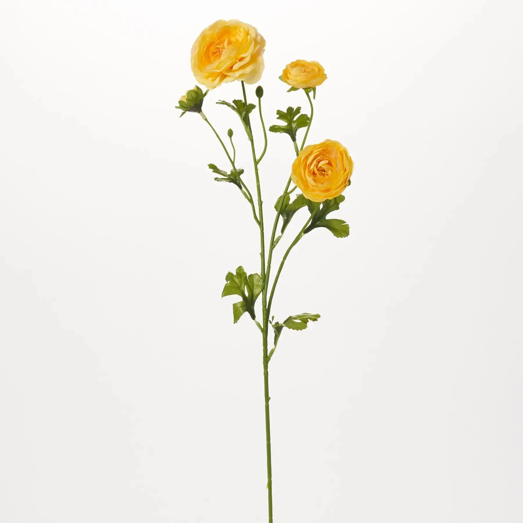 Yellow Sherbet Ranunculus Decorative Faux Flower Stem with Bloom, Bud & Leaf - 26" Single Stem Floral Decor for Home Supplies, 25 To 29 In