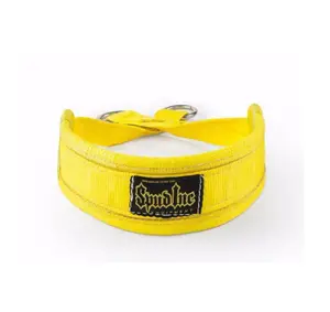 Spud Inc. Belt Squat