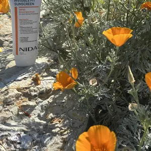 NIDA Invisible Fit Sunscreen Lightweight Spf Sensitive Facial