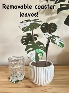 Monstera Coasters Plant Set for Housewarming Gift Monstera Albo Decoration Variegated Custom Coasters 3D Printed Art Birthday Gift Wedding Present Albo - Tableware