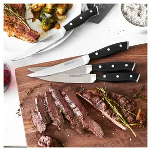 Henckels Forged Accent 4-Piece Steak Set