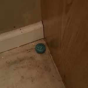 12 - Pack High - performance Peppermint Oil Mouse Repellent! Natural - based and user - friendly, it effectively deters rats, mice, ants, roaches, spiders, and squirrels. Sturdy for both indoor and outdoor use in garden and home.