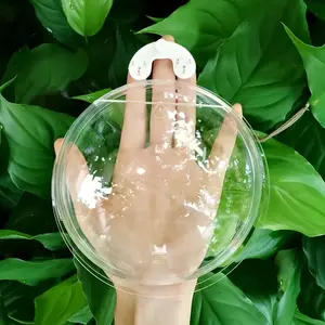 2pcs Easy-Install, No-Drill Hydroponic Aquarium - Transparent TPU Wall-Mounted Fish Tank with Colorful Bubble Decor, Ideal for Home & Office Decoration, Fish Tank Decor