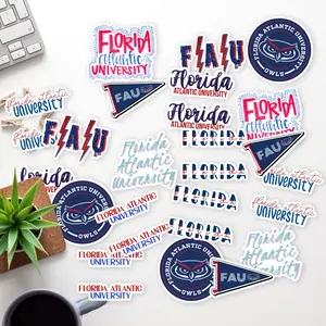 Stickers Pack 20 Pcs Florida Bumper Aesthetic Atlantic Car University Skateboard Bottle Waterproof Guitar Laptop Bike Vinyl Colorful Luggage Water