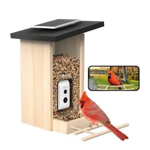 Birdfy Smart Bird Feeder Camera