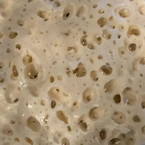 Dehydrated Sourdough Starter Luna – Active Live Culture – Beginner Friendly