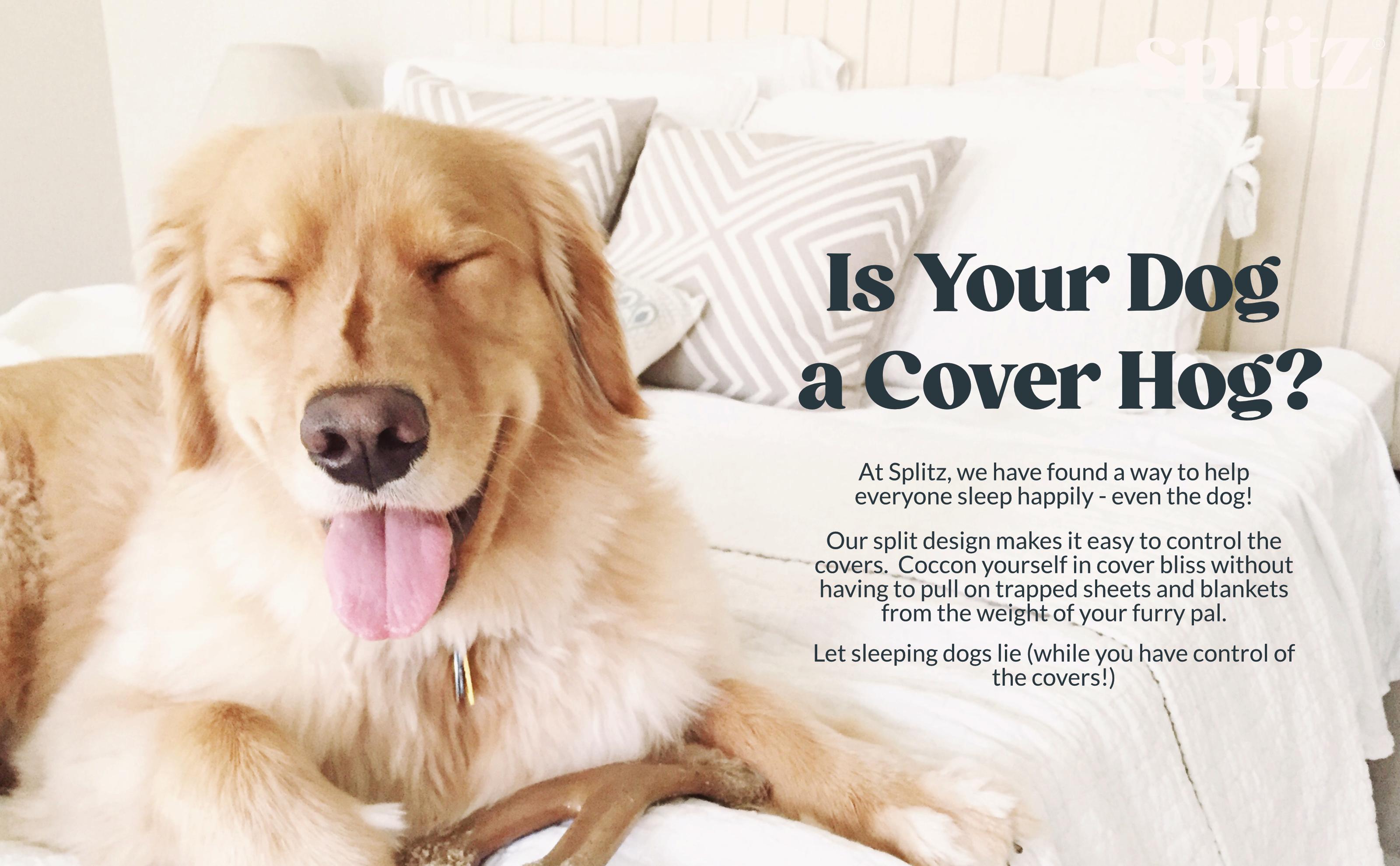 Splitz Sheet Set for Couples - Seagrass, 2000 Thread Count Cool Touch Poly-fiber, Extra-wide Split Top Sheet, Deep Pockets for Mattresses up to 22" Splitz Sheet Set for Couples - Seagrass, 2000 Thread Count Cool Touch Poly-fiber, Extra-wide Split Top Sheet, Deep Pockets for Mattresses up to 22"