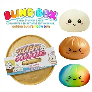 Rainbow Dumpling Squishy & Golden Bun Fidget Toy - Surprise Blind Box with Steamer, Kawaii Expressive Food Squishies, Soft Silicone Dough Ball Stress Toy, Random Style Sensory Gift for Teens