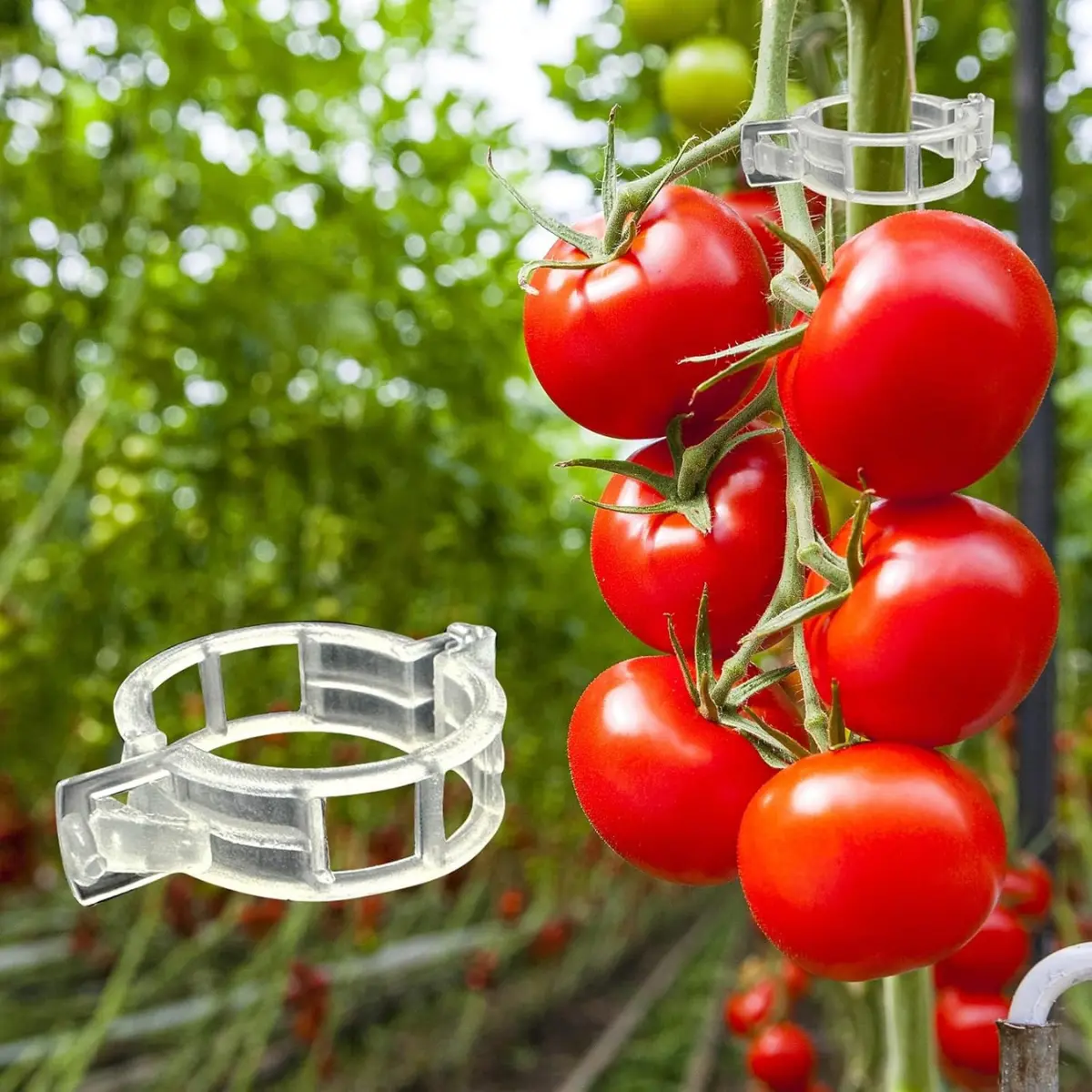 300PCS Tomato Plant Clips, Plastic Trellis Support Clips for Vine Plants Garden Vegetables Grow Upright