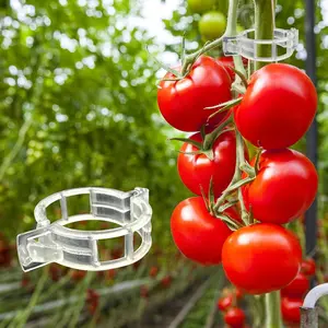 300PCS Tomato Plant Clips, Plastic Trellis Support Clips for Vine Plants Garden Vegetables Grow Upright