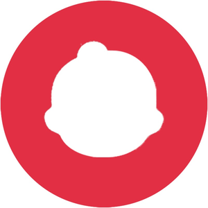 JoyTraceToys