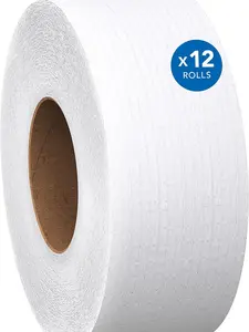 Jumbo Roll Bulk Toilet Paper (07805), 2-Ply, White, Non-Perforated (12 Rolls at 1,000' Each, 12,000'/Case)