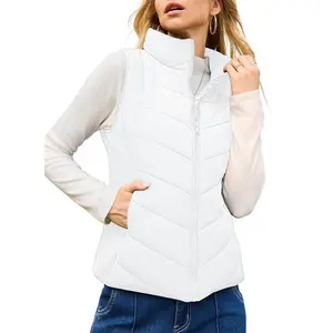 2025Puffer Vest Women Sleeveless Zip Up Outerwear Stand Collar Quilted Vest Warm Winter Jackets Coats with Pocket