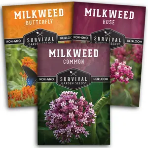 Milkweed Seed Collection - 3 Native Varieties of Milkweed for Gardening