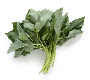 1000 Egyptian Spinach Seeds for Planting - Green Jute Plant - Corchorus Olitorius - Molokhia Seeds - Saluyot Seeds - Rau Đay Xanh - Vegetable Garden